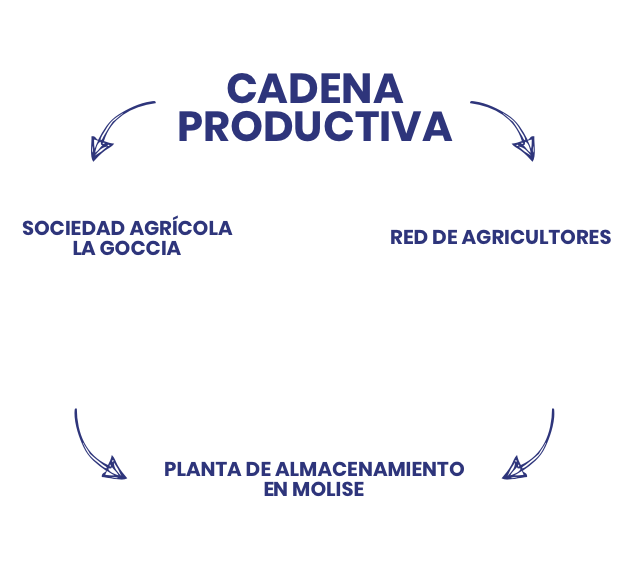 Conoce Isola Bio