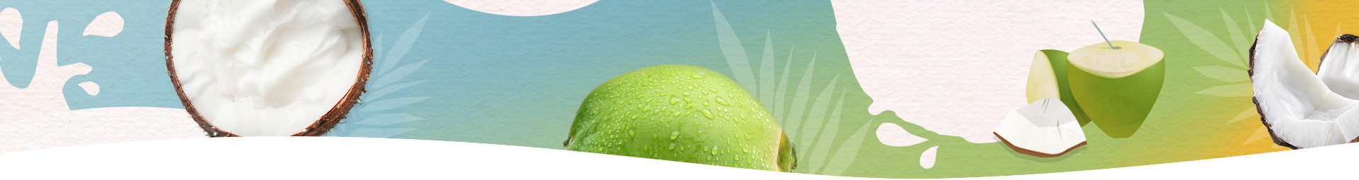 Bevande al Cocco